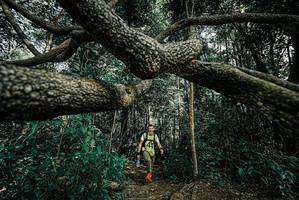 BIB: 
                            <button type="button" onclick="openModal(25706159)" class="btn btn-primary btn-sm float-right btn-popup" data-toggle="modal" data-target=".modal-high-quality">
                        <i class="fas fa-shopping-cart"></i> Add to Cart
                    </button>
                                            <button type="button" onclick="isThisMe(25706159, true)" class="btn btn-success btn-sm float-right btn-popup btn-isme hidden" data-toggle="tooltip" data-placement="bottom" title="นี่คือรูปของคุณใช่ไหม คลิกที่นี่เพื่อเอาเข้าอัลบั้ม">
                        <i class="fas fa-plus"></i> Add to album
                    </button>
                    <button type="button" onclick="isThisMe(25706159, false)" class="btn btn-warning btn-sm float-right btn-popup btn-isnotme hidden">
                        <i class="fas fa-ban"></i> Remove from album
                    </button>